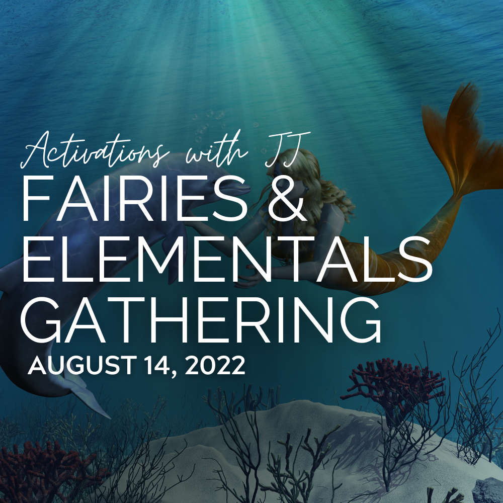 Fairies & Elementals Gathering (MP3 Recording) | August 14, 2022